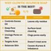 Glowtic sulphur soap vs other soap comparison showing acne control, deep pore cleansing, oil balance and clear skin benefits